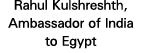 Rahul Kulshreshth, Ambassador of India to Egypt