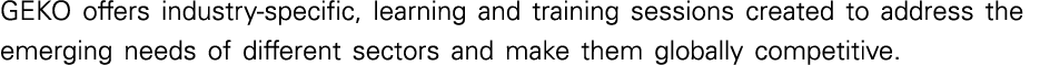 GEKO offers industry-specific, learning and training sessions created to address the emerging needs of different sect   