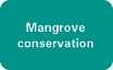 Mangrove conservation