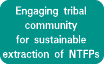 Engaging tribal community for sustainable extraction of NTFPs 