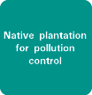 Native plantation for pollution control