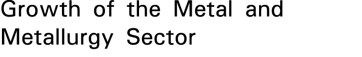 Growth of the Metal and Metallurgy Sector 