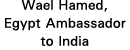 Wael Hamed, Egypt Ambassador to India