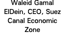 Waleid Gamal ElDein, CEO, Suez Canal Economic Zone