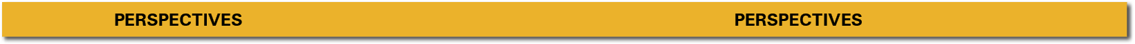      Perspectives                            Perspectives